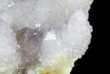 Cactus Quartz (Amethyst) Cluster - Large Crystals #62961-2